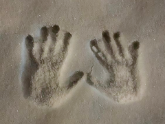 방갈로바｜눈도장