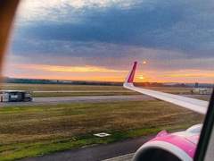 사사로운 이별에게