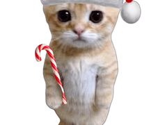 하이큐 카피페 1