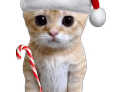 하이큐 카피페 4