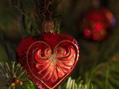 카페사장 윤대협과 농구선수 서태웅의 얼렁뚱땅 재결합썰