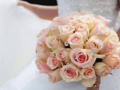 [벨져릭] Bouvardia 번외.