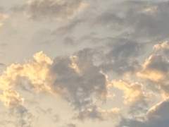 바다는 많은 것들을,