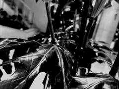 잃어버린 가이드 T