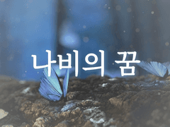 나비의 꿈