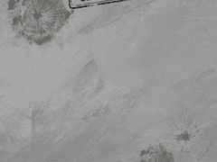 Velvet Trap 이모저모