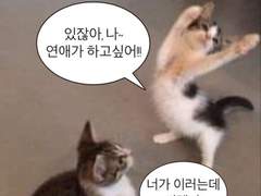 레즈인생 인만추로 연애성공하는법