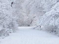 황혼이 바다가 되어