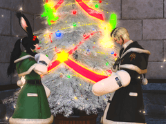 솜뭉치 별빛축제 데이트!