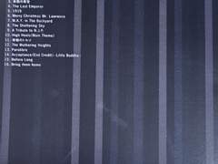 Ryuichi Sakamoto- 1996