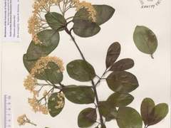 바다를 잃어버리고