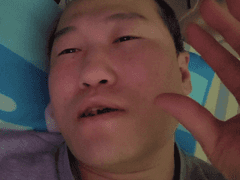 브베의 생각 - 새가 갑자기 너무 무서워졌다..