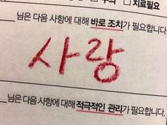 뷰티풀 앤 더티 나잇