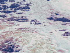 [웆홋]Fish in Apocalypse