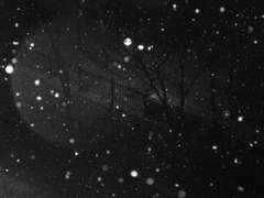 [채꿍] 순간은 영원을 꿈꾸게 만들어서