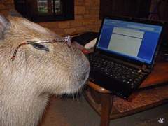 06의 뷔페 1일 단기 알바 썰과 꿀팁