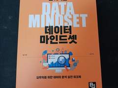 책 인증-공식을 넘어서는 데이터 마인드 셋(윤다영, 조선미, 비제이퍼블릭, 비제이퍼블릭출판사)