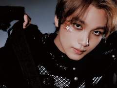 스트레이 센티넬 03