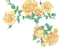 [무료배포 3] 꽃무늬 화상 소재 (패턴&PNG)