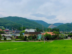 [이준혁] 시골로맨스