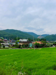 [이준혁] 시골로맨스