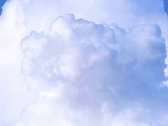 2023년 매듭짓기