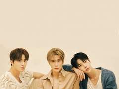 엔시티 나페스 추천