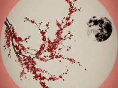 매화록 : 梅花錄 제1 장