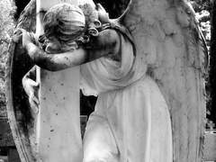 우네커 앙헬의 프로필.