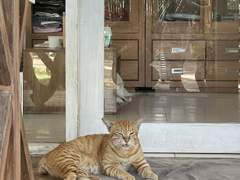 11월 28일) 마차를 타고 에덴으로