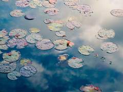 龍返其淵용반기연 / 一