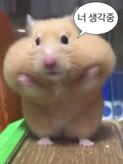 내가 가장 정상적인Talk