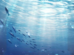 EPILOGUE – 잘자, 나의 바다