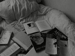 김 뇨뇨 사용범위