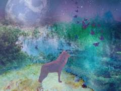 [시목동재] 여우의 순정(完+外)