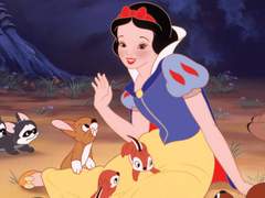 071 길 위에 동물을 보호하기 위한 모임♡