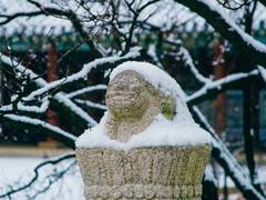 눈 오는날의 창경궁