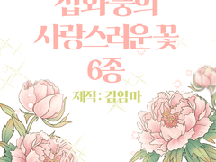 삽화 풍의 사랑스러운 꽃 6종