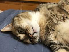 [직장 생활] 퇴사는 언제쯤 해야 할까?