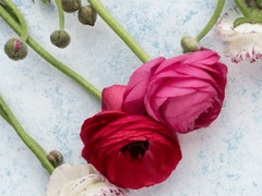 [GL] 가슴 유희 2