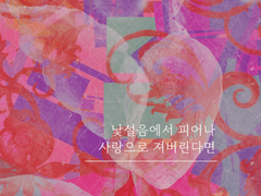 낯설음에서 피어나 사랑으로 져버린다면 01