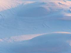 카나히메 현대 Ver.