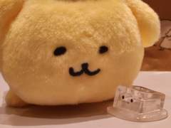 동지 단석산 등반기