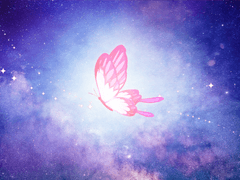 후회없이 즐거운 인생을!