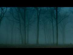 梅子十二(매자십이)- 酉(유)시