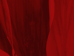 EP. 1 뜨거운 겨울