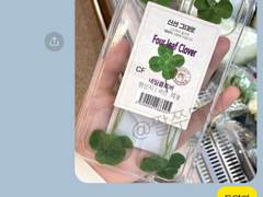 김남매 이슈 TALK 12