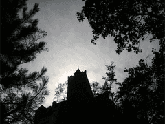 [물만두] 밤그늘 #6