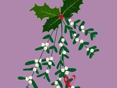 [대협백호]겨우살이 장식 아래에서