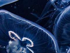 이기적이면 좀 어때.